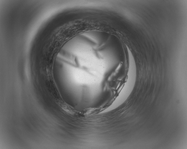 X0000054390524200508270037