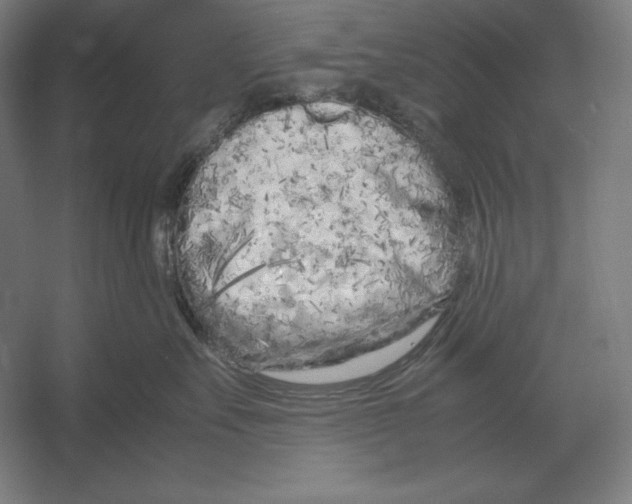 X0000054390527200508270037