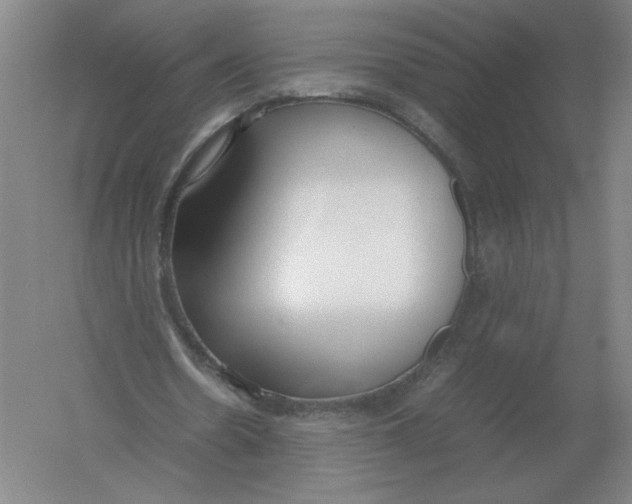 X0000054390530200508270036