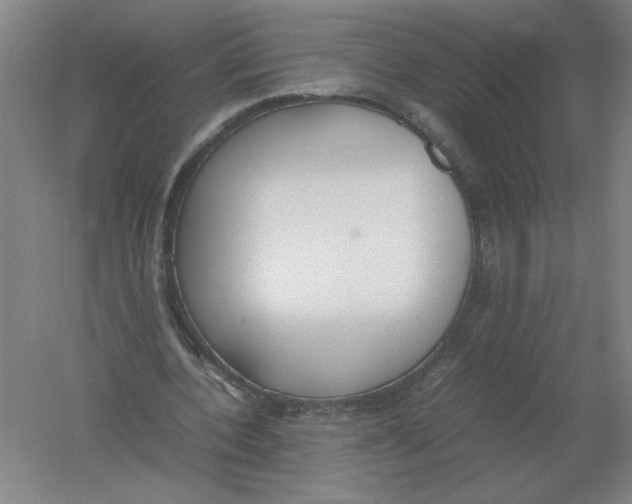 X0000054390532200508270036