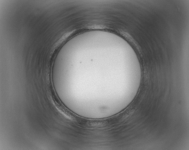 X0000054390533200508270036