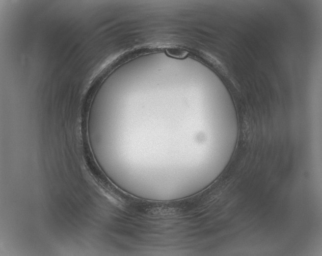 X0000054390535200508270036