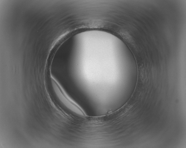 X0000054390536200508270036