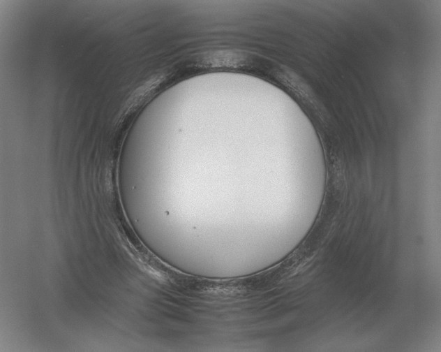 X0000054390537200508270036