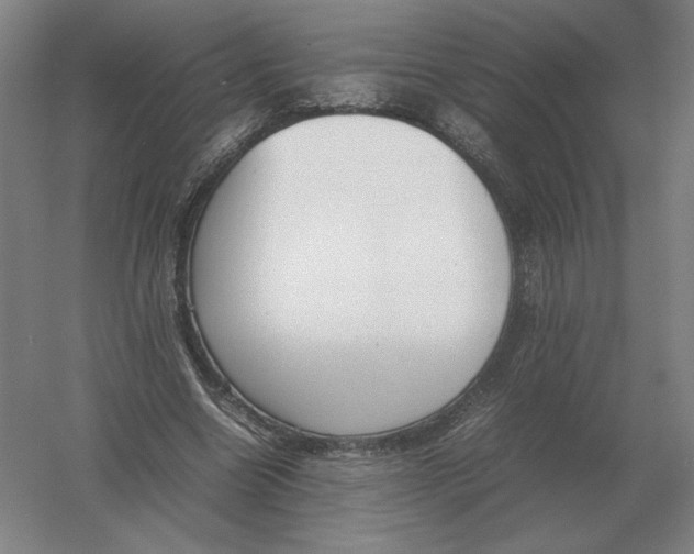 X0000054390538200508270036