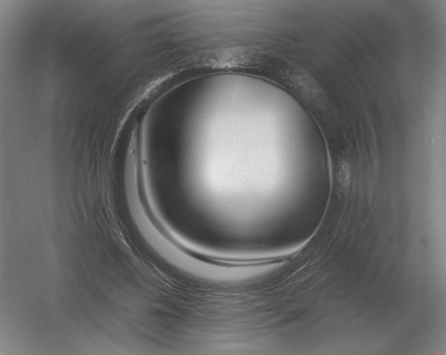 X0000054390540200508270036