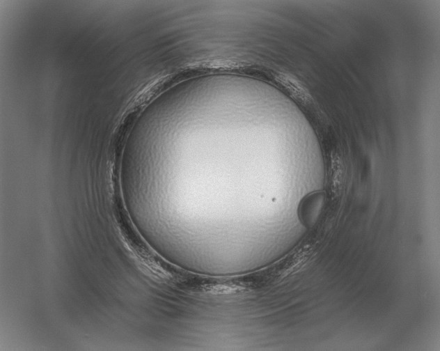 X0000054390542200508270036