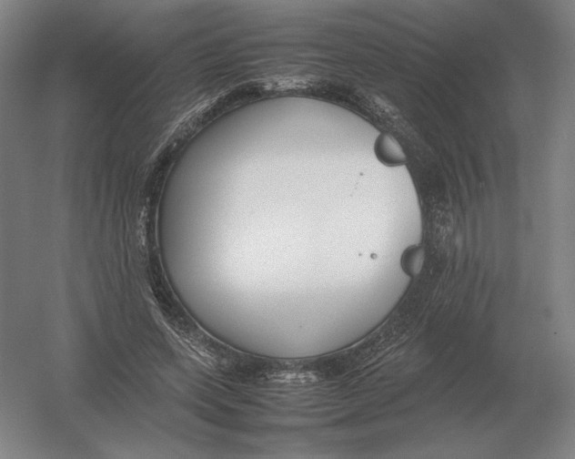 X0000054390543200508270036