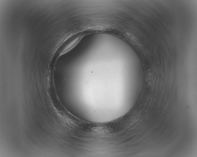 X0000054390544200508270036