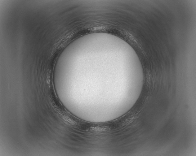 X0000054390545200508270036