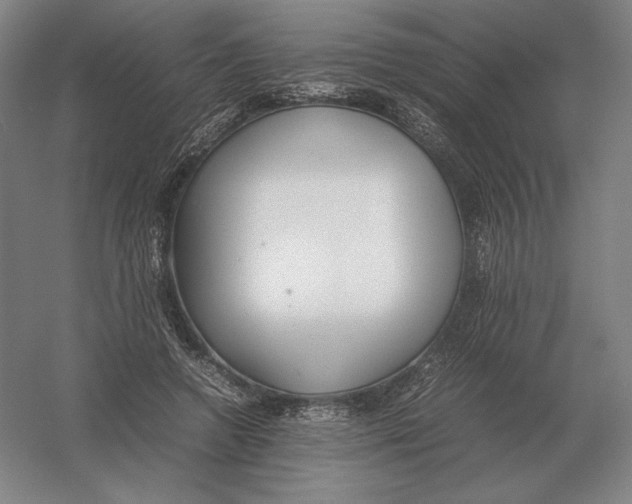X0000054390546200508270036
