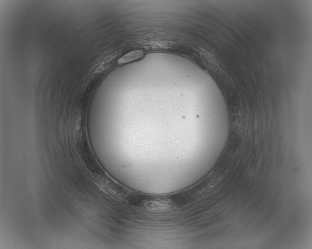 X0000054390548200508270036