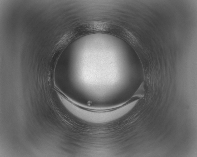 X0000054390552200508270037
