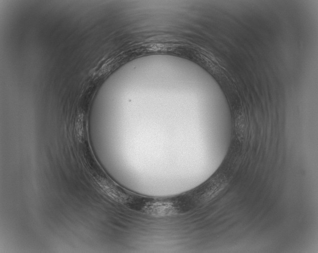 X0000054390554200508270037