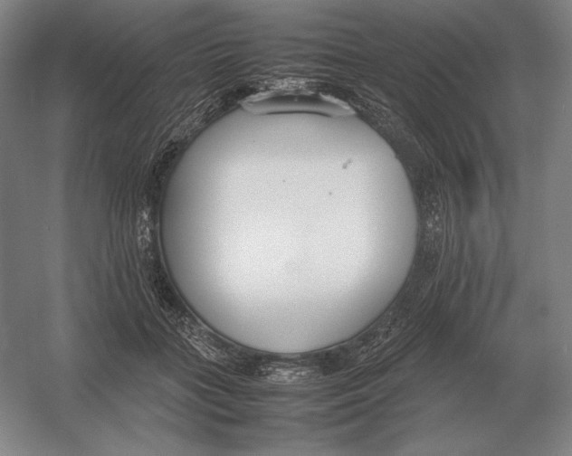 X0000054390555200508270037