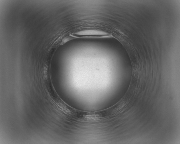 X0000054390556200508270037