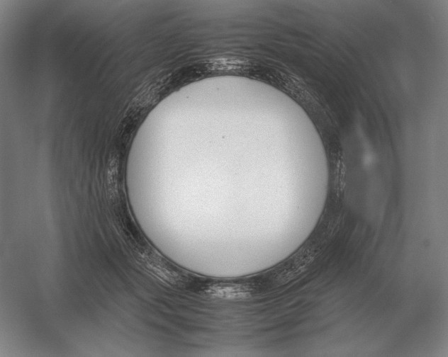 X0000054390557200508270037