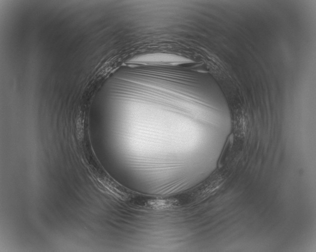 X0000054390558200508270037
