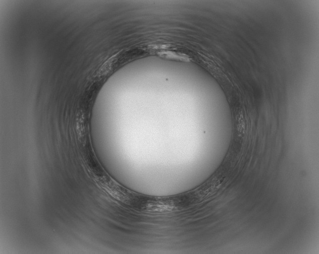 X0000054390559200508270037
