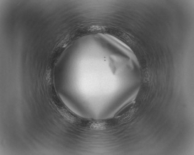 X0000054390560200508270037