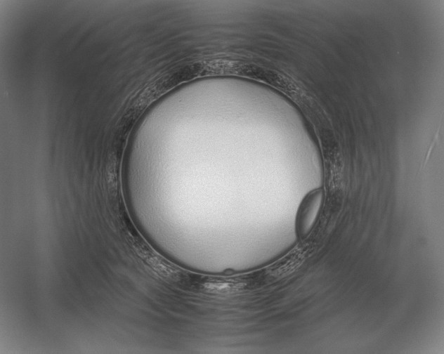 X0000054390561200508270037
