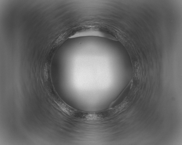 X0000054390562200508270037