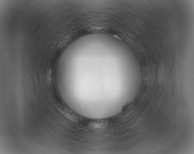 X0000054390563200508270037