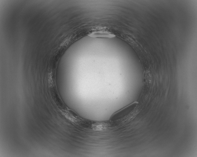 X0000054390564200508270037