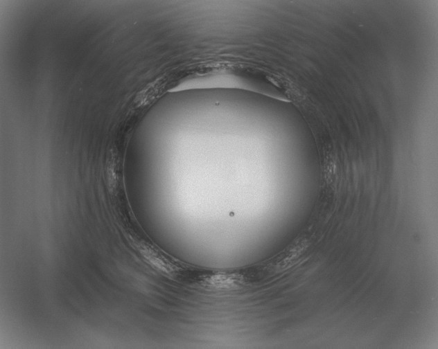 X0000054390566200508270037
