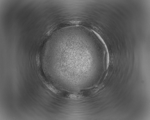 X0000054390568200508270037