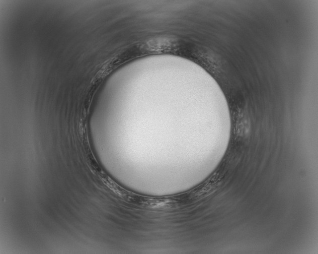 X0000054390569200508270037