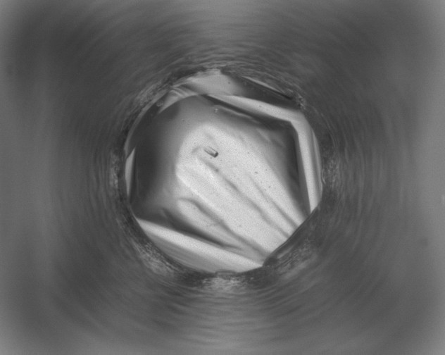 X0000054390570200508270037