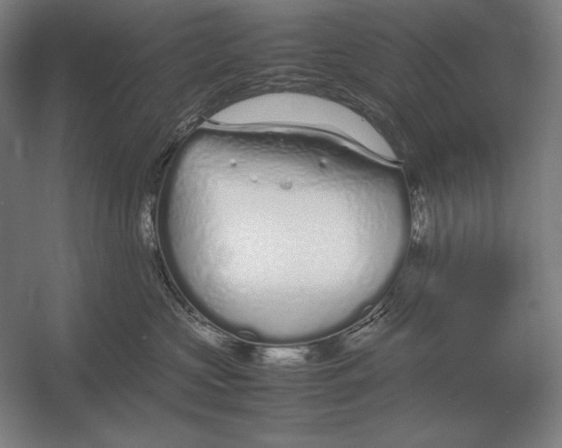 X0000054390573200508270037