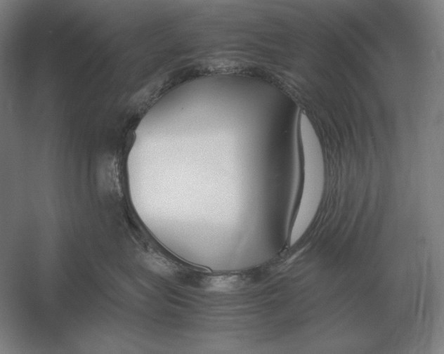 X0000054390575200508270037