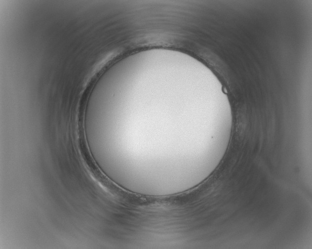 X0000054390578200508270036