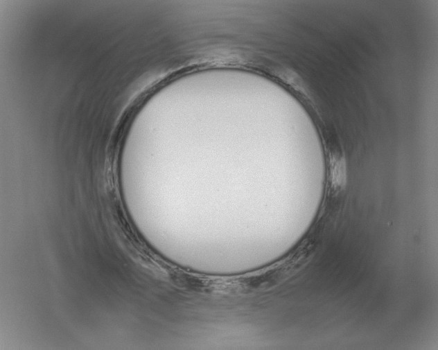 X0000054390579200508270036