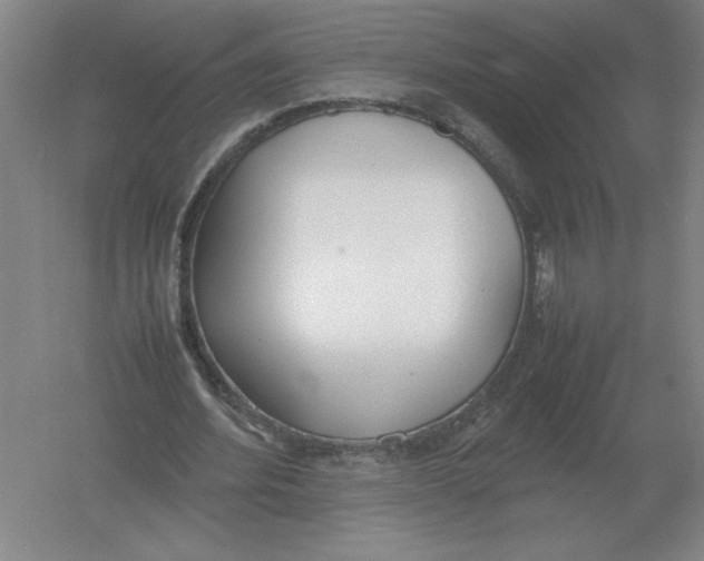 X0000054390580200508270036