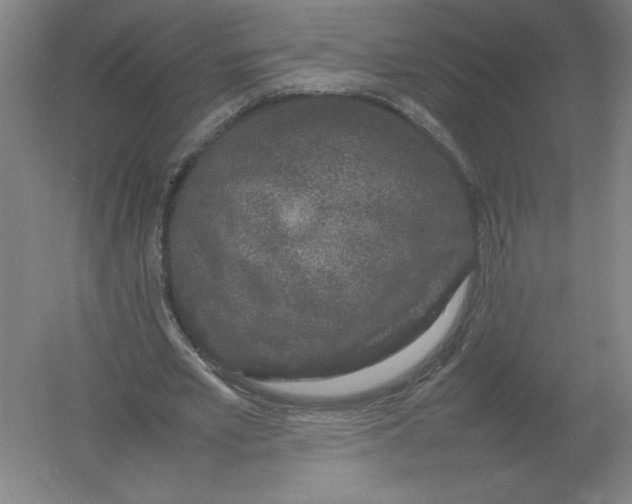 X0000054390581200508270036