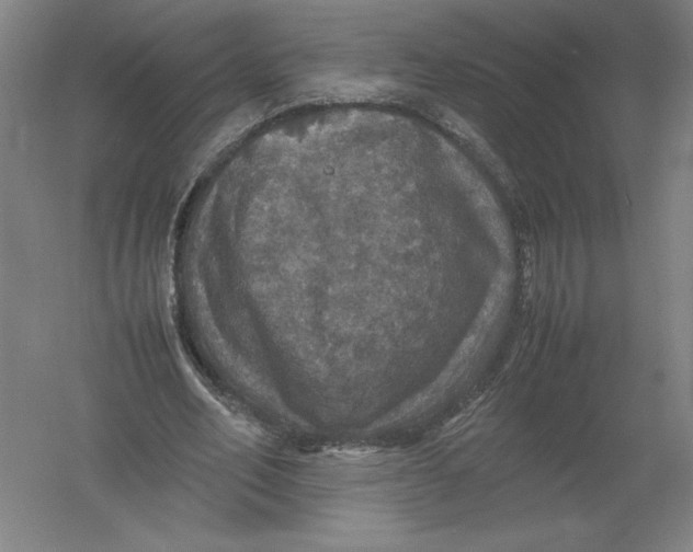 X0000054390582200508270036