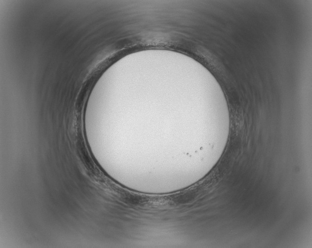 X0000054390583200508270036