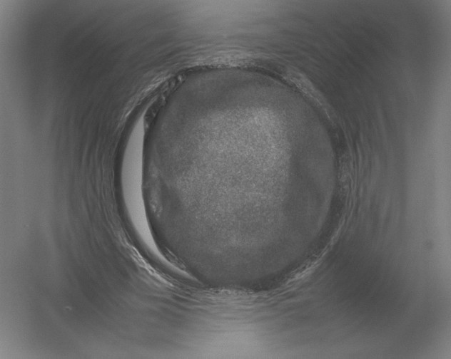 X0000054390585200508270036