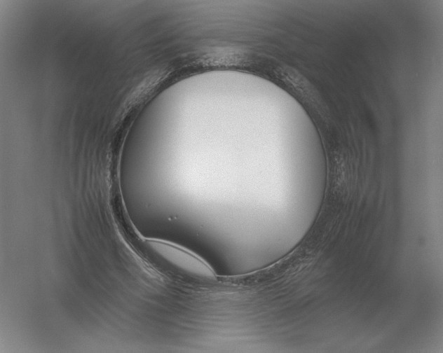 X0000054390586200508270036