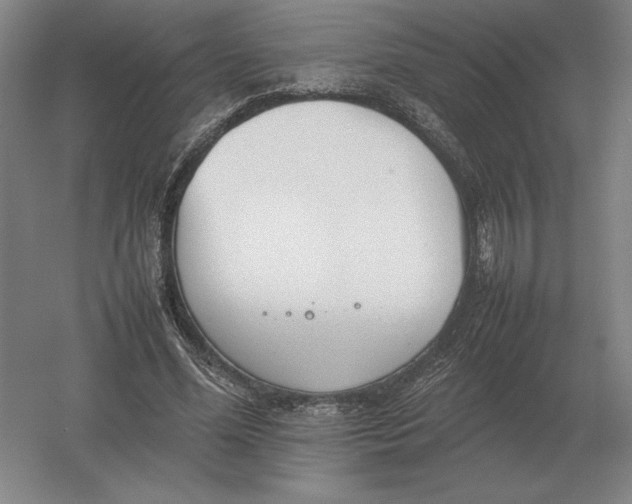 X0000054390588200508270036