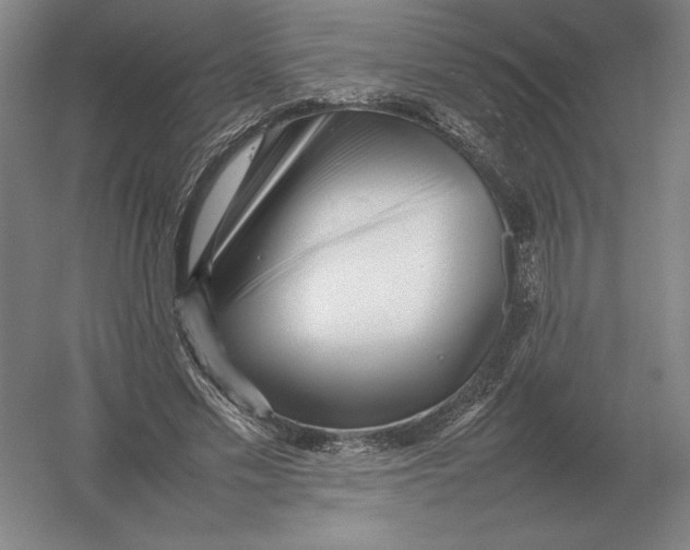 X0000054390589200508270036