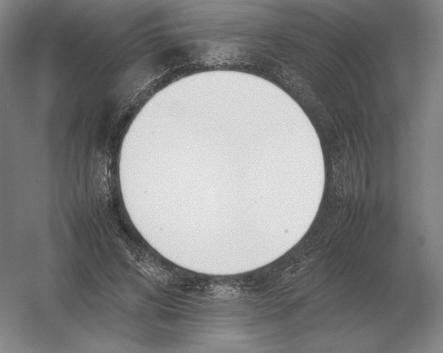 X0000054390592200508270036
