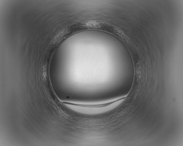 X0000054390593200508270036