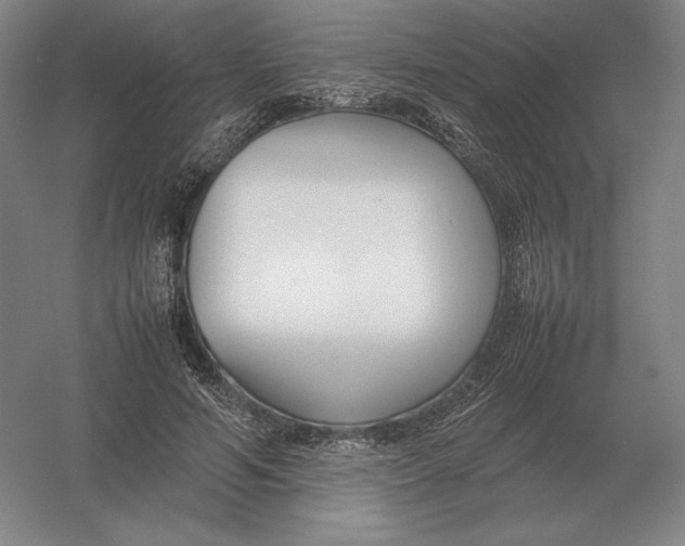 X0000054390594200508270036
