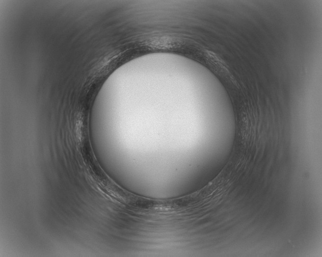 X0000054390596200508270036