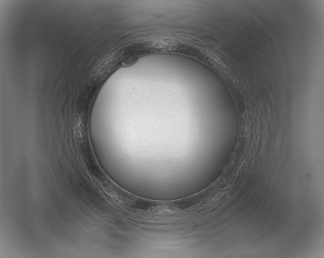 X0000054390597200508270036