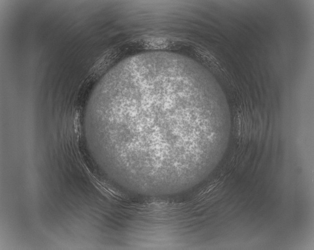 X0000054390598200508270036